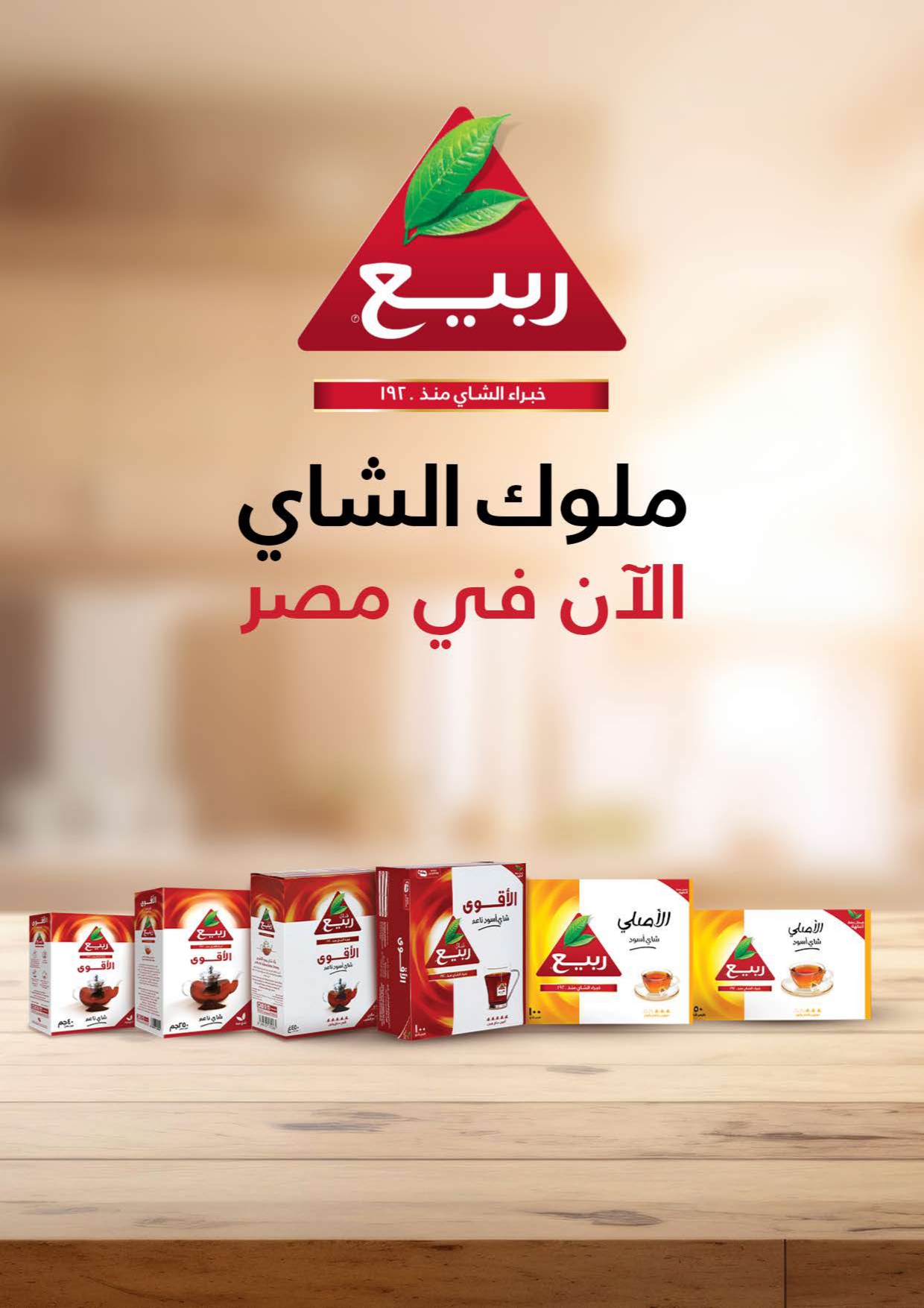 saudi offers from 30dec to 12jan 2025 عروض سعودى من 30 ديسمبر حتى 12 يناير 2025 صفحة رقم 23